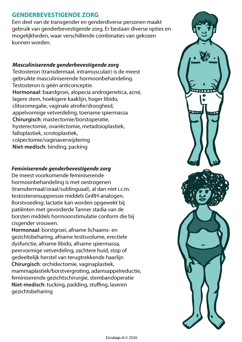 genderdiversiteit